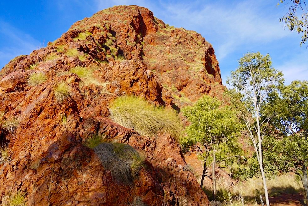 Keep River National Park - Jarnem Walk: imposante Felsen auf dem Weg zum Lookout - Northern Territory