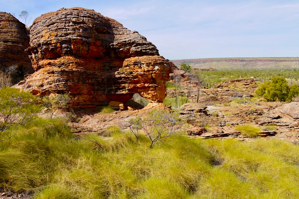 Keep River National Park - Imposante erodierte Sandsteinfelsen & Spinifex Gräser - Northern Territory