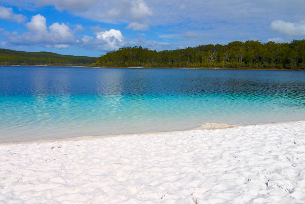 Lake McKenzie - Kristallklarer Grundwassersee: ein Insel-Highlight von Fraser Island - Great Sandy National Park - Queensland