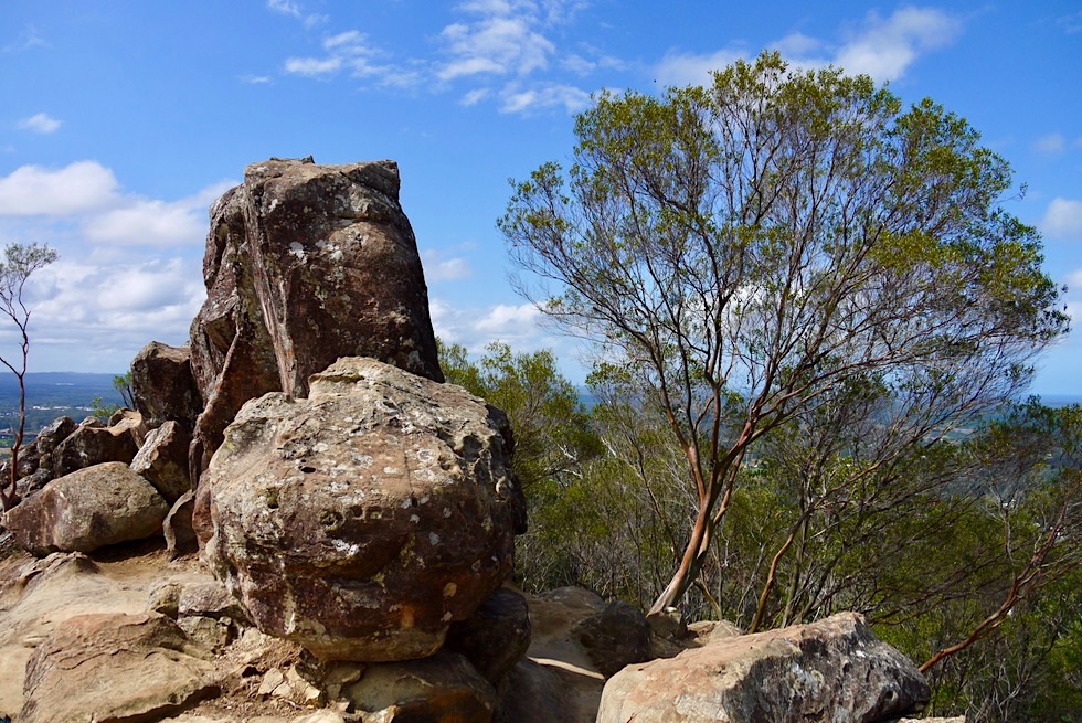Mt Ngungun - der Gipfel lädt zum Rasten ein - Glass House Mountains - Queensland