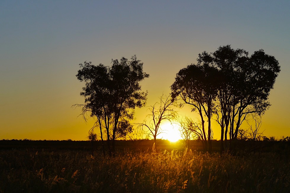 Faszinierender Sonnenaufgang nahe Charters Towers - Queensland
