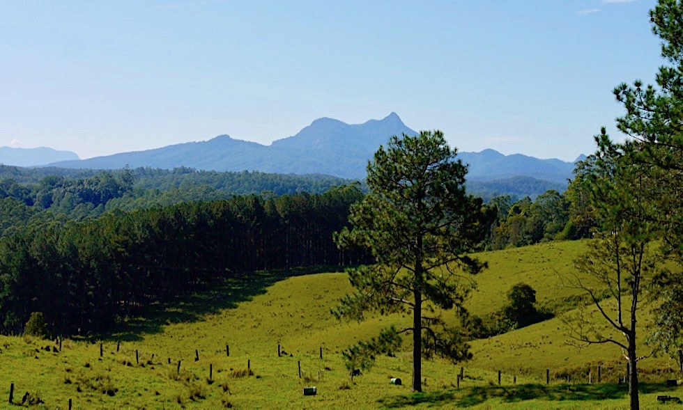 Tweed Valley - grüne Landschaft mit Hügeln, Wäldern, Bergen - New South Wales
