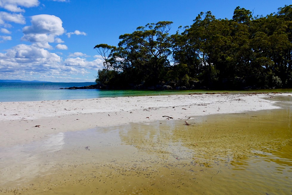 Booderee National Park - Green Patch: Strandspaziergang - New South Wales