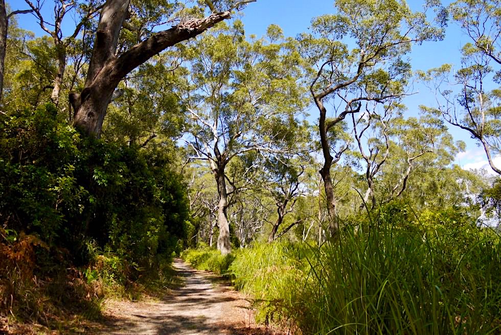 Booderee National Park - Waldweg führt zum "Hole in the Wall" - New South Wales