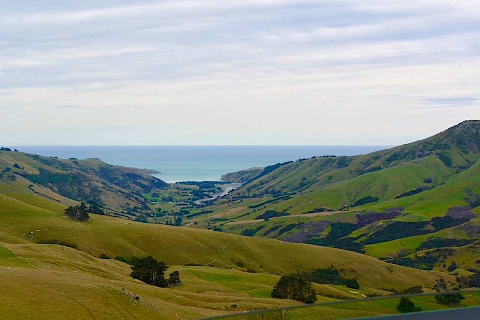 Le Bons Bay - Banks Peninsula - Südinsel Neuseeland
