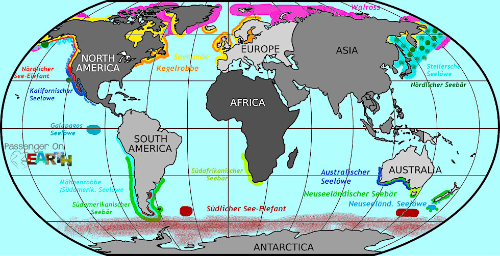 Vorkommen & Verteilung der Robben-Arten weltweit auf Weltmeere & Kontinente - Passenger On Earth