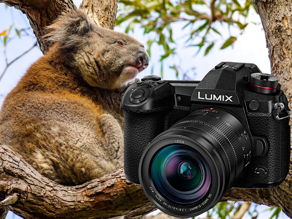 Panasonic Lumix G9 - Beste Reisekamera für Profis & Einsteiger - Passenger On Earth