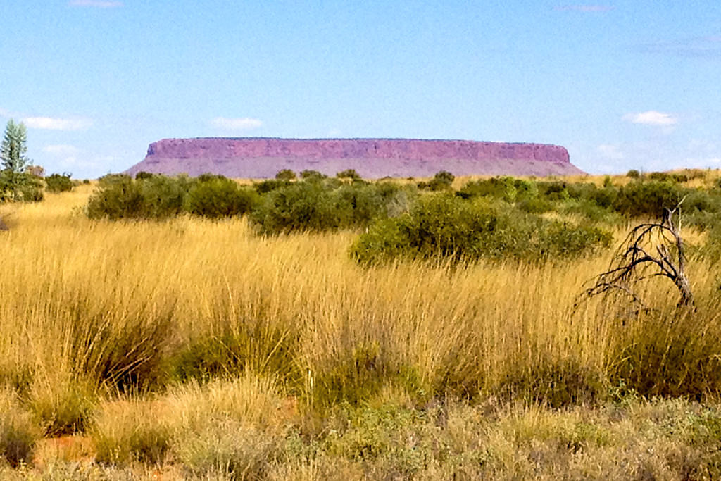 Mount Connor / Attila: Vorbote des Uluru - Curtin Springs Farm - Northern Territory