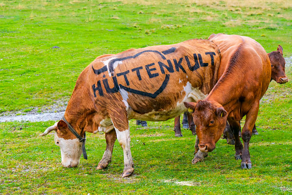 Hüttenkult Kuh Berta: das Maskottchen - Natur- & Hütten-Genuss rings um die Region Villach - Kärnten, Österreich
