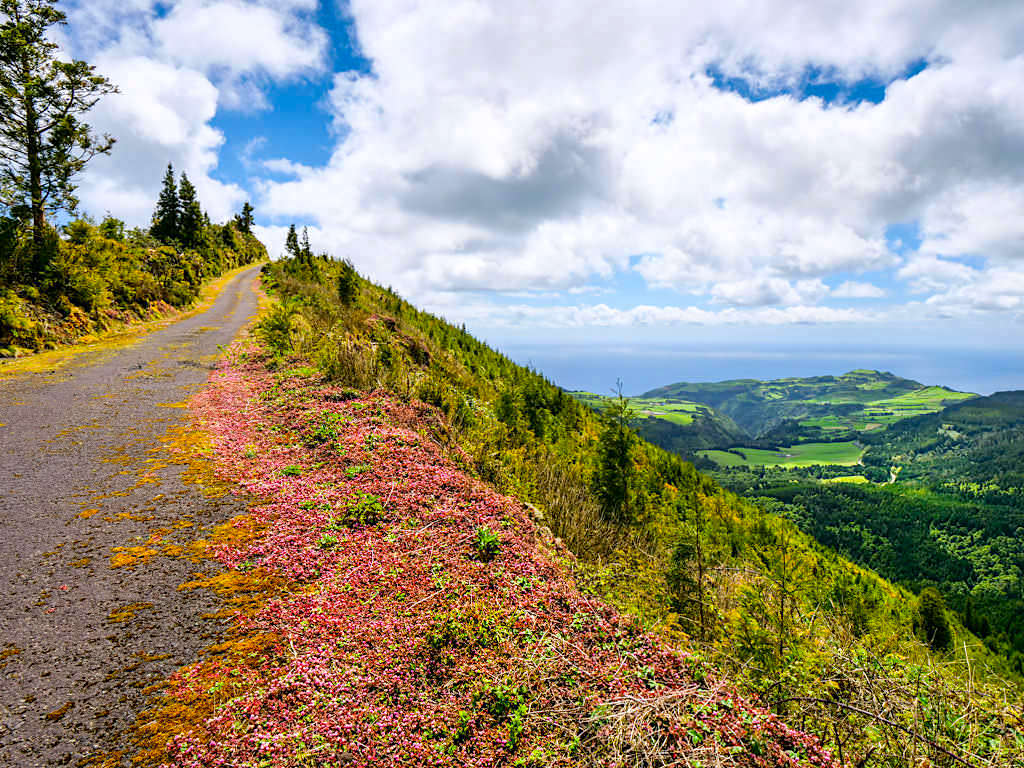 Serra da Tronqueira, Pico Bartolomeu, Planalto dos Graminhais - Die besten Highlights & Geheimtipps für den wildenschönen Osten von Sao Miguel - Azoren