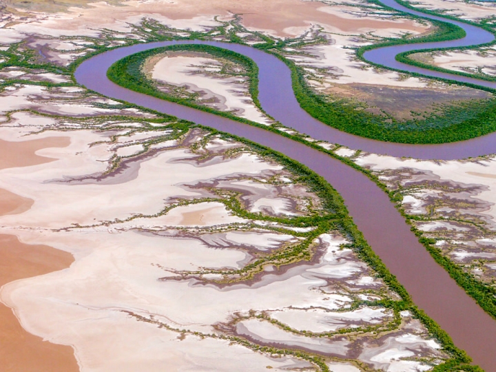 Wyndham - King River, Schwemmlandschaft & Mangrovensümpfe - Kimberley, Western Australia