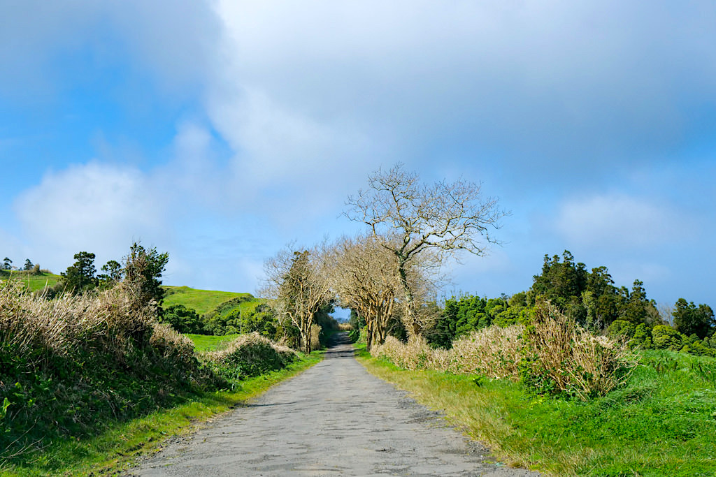 Faial - Die grüne Idylle aus Weideflächen & Hügeln bekommt der Besucher vor allem auf Nebenstraßen zu Gesicht - Azoren