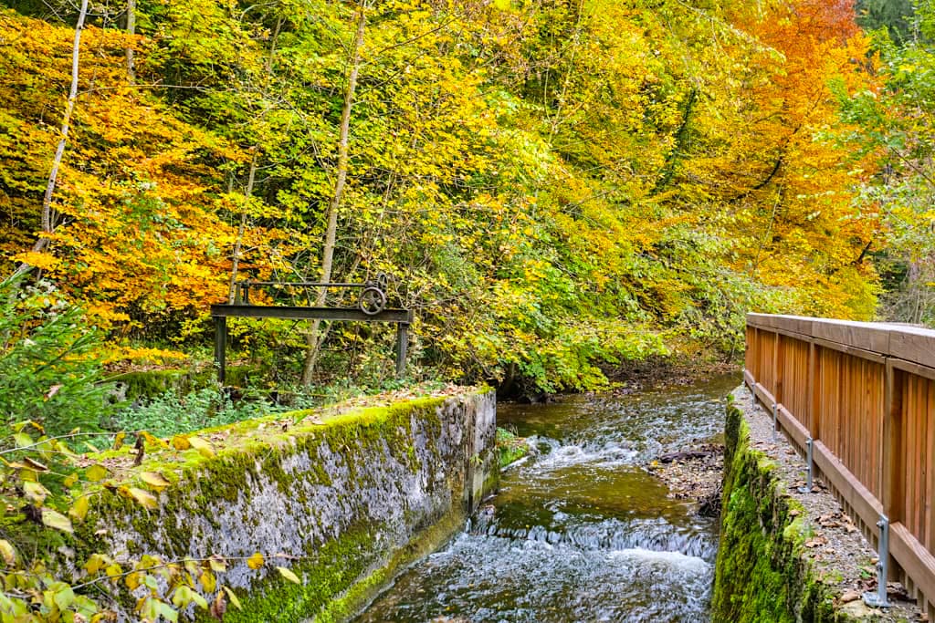 Altes Wehr am Maisinger Bach in herrlichen Herbstfarben - Maisinger See Wanderung - Bayern