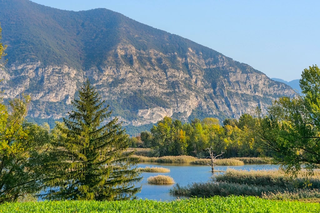 Naturschutzgebiet Torbiere del Sebino am Südende des Lago d'Iseo - Italien