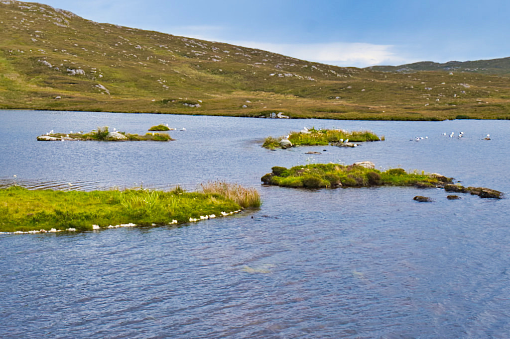 Loch an Duin - Schöner See zur Vogelbeobachtung und Wandern - Insel Barra - Äußere Hebriden